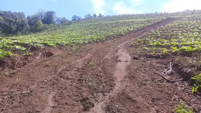 Área rural com 1 dormitório, foto 3