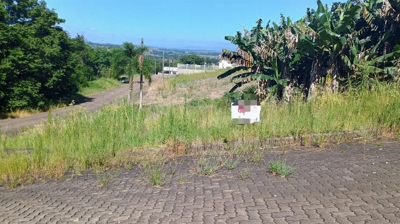 Terreno, foto 1