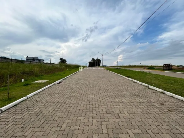 Vista da estrada pavimentada com grama ao redor em Lajeado.