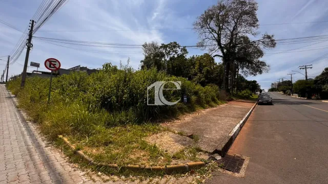 Terreno, foto 2