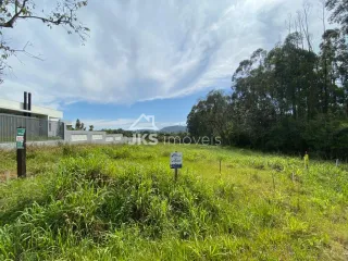 Terreno, foto 3