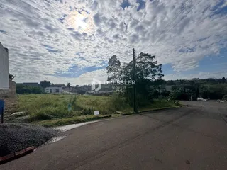 Vista externa da propriedade ao longo de uma estrada com vegetação.