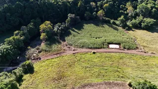 Vista aérea de uma área rural com vegetação densa e campos cultivados.