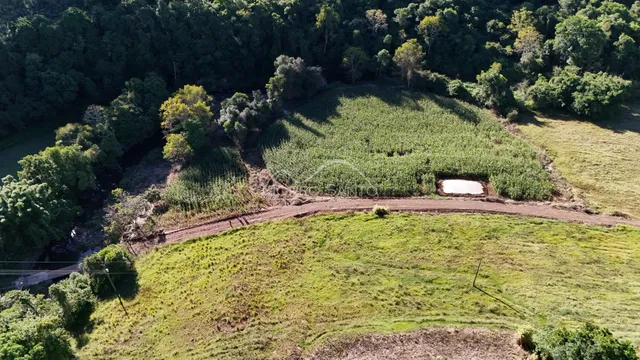 Vista aérea de uma área rural com vegetação densa e campos cultivados.