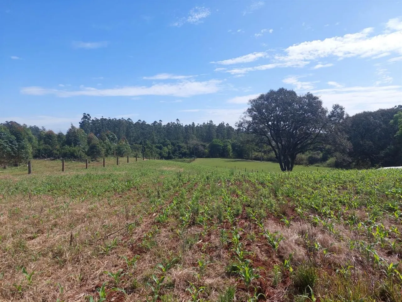 Área rural, foto 1