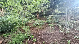 Área rural, foto 28