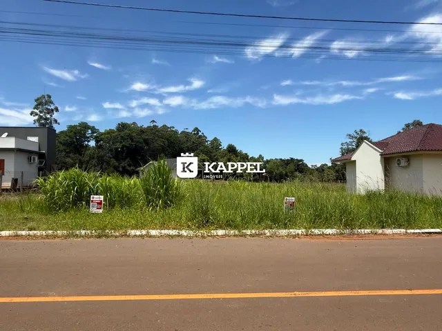 Vista externa de uma propriedade com vegetação alta e uma estrada no primeiro plano.