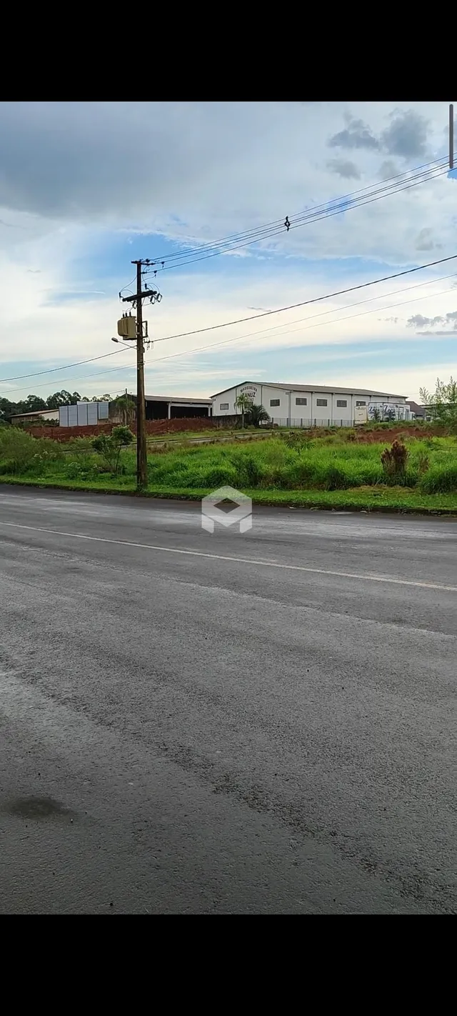 Vista externa de uma estrada com postes e vegetação no fundo.
