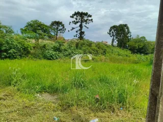 Terreno, foto 4