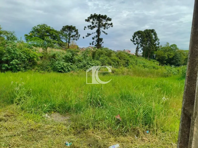 Terreno, foto 4
