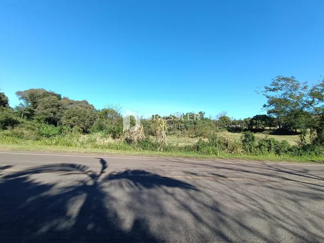 Vista da propriedade com vegetação e estrada.
