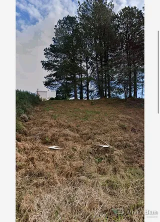 Terreno, foto 1