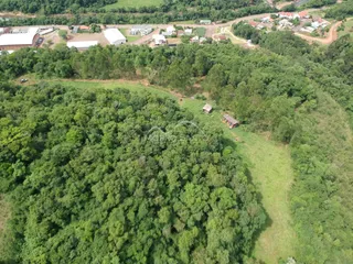 Vista aérea de uma área de mata densa com vegetação exuberante.