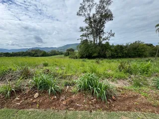 Vista de um campo aberto com vegetação e colinas ao fundo.