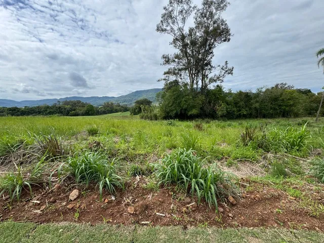 Vista de um campo aberto com vegetação e colinas ao fundo.