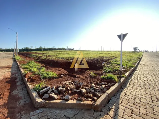 Terreno, foto 3