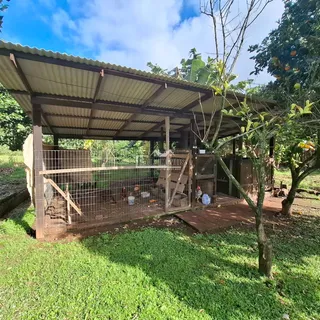 Casa com 4 dormitórios, foto 11