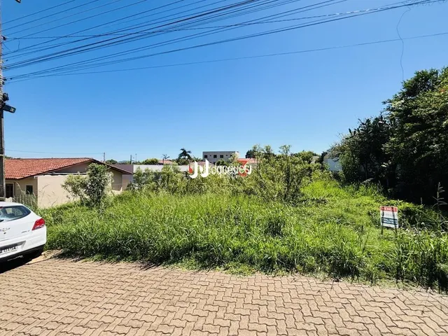 Terreno, foto 3