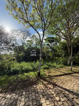Terreno, foto 5