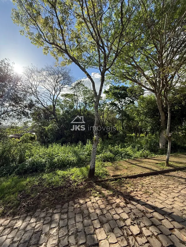 Terreno, foto 5