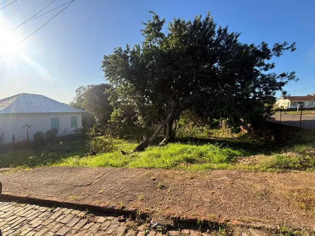 Terreno, foto 3