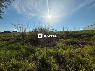 Paisagem de campo com vegetação alta sob um céu claro.