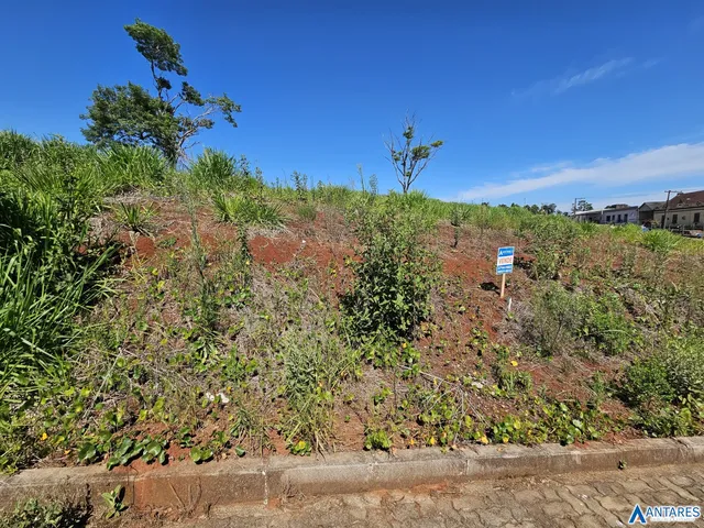 Terreno, foto 2