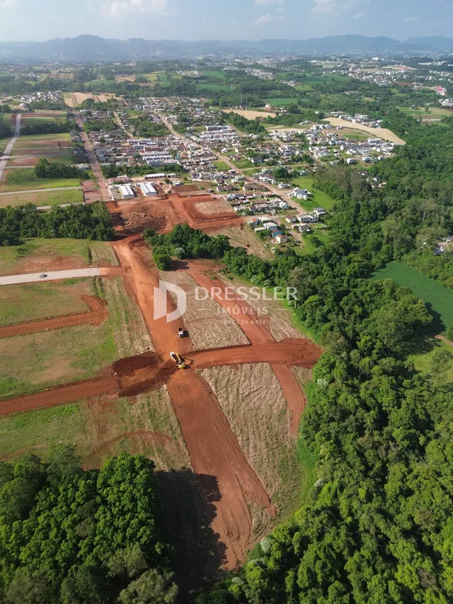 Vista aérea de uma área de terra com vegetação densa e estradas de terra.
