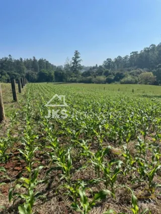 Área rural, foto 3