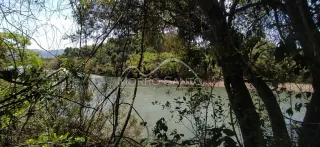 Área rural, foto 4