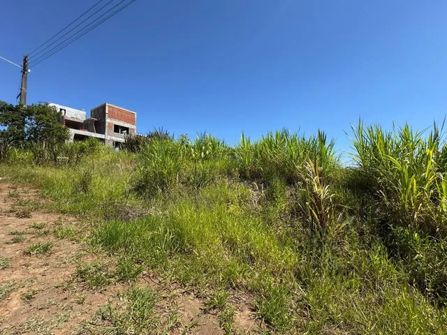 Terreno, foto 3