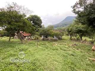 Paisagem rural com vegetação densa e colinas ao fundo.