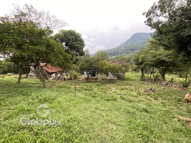 Paisagem rural com vegetação densa e colinas ao fundo.