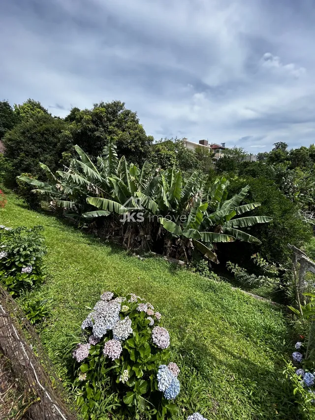 Terreno, foto 3