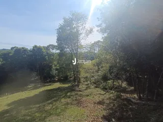 Vista de uma área gramada com vegetação densa de uma propriedade em Lajeado.