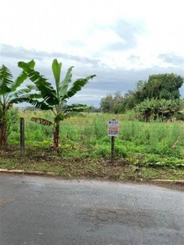 Terreno