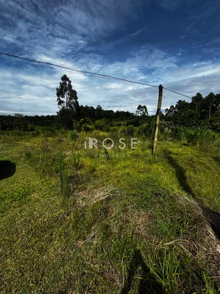 Área rural, foto 3
