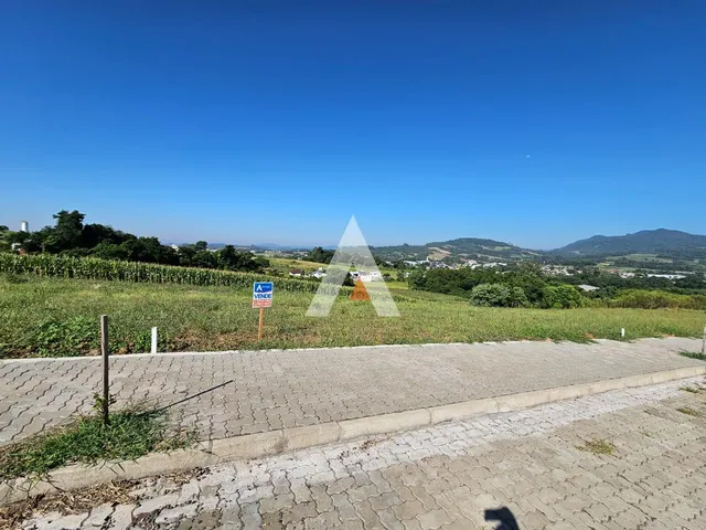 Terreno, foto 5