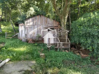 Área rural com 6 dormitórios, foto 18