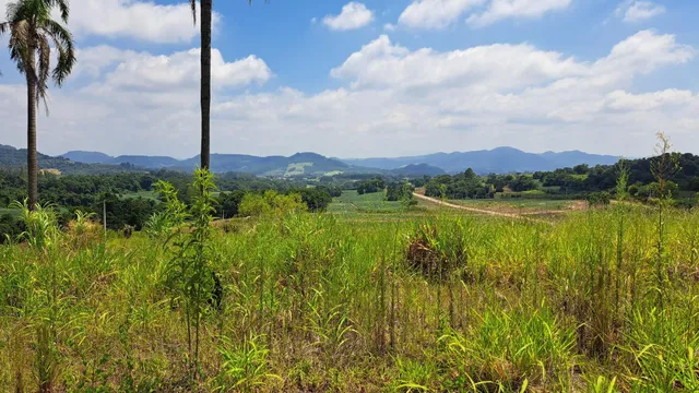 Terreno, foto 2