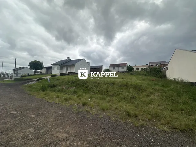 Terreno, foto 2