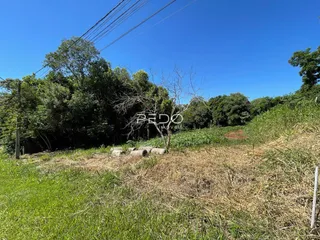 Paisagem de campo com vegetação seca e grama alta sob um céu azul.