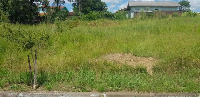 Terreno, foto 2