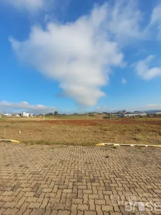 Terreno, foto 3
