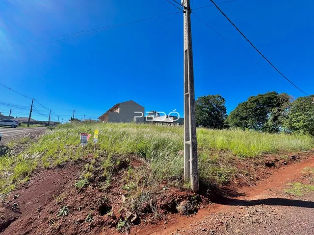 Vista externa de uma propriedade com vegetação e poste em um dia ensolarado.