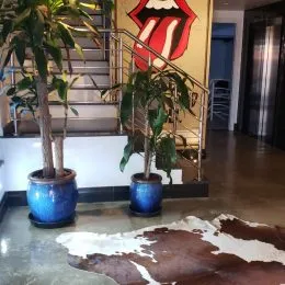 Foto de um corredor com escadaria em um imóvel.