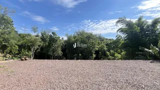 Paisagem de campo com vegetação densa ao fundo sob um céu azul.