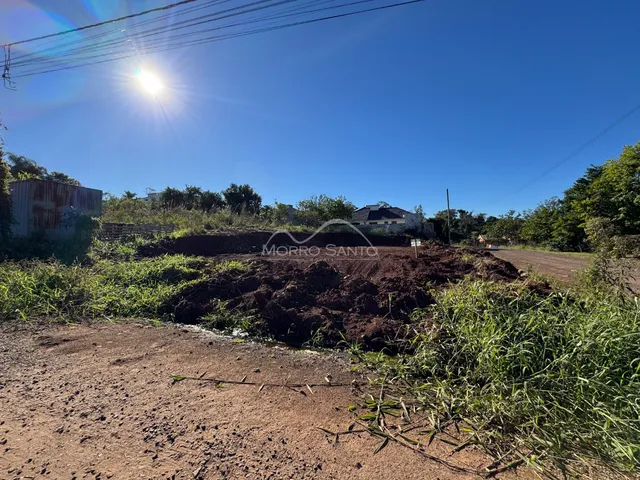Foto de uma área de terra com vegetação em um terreno.