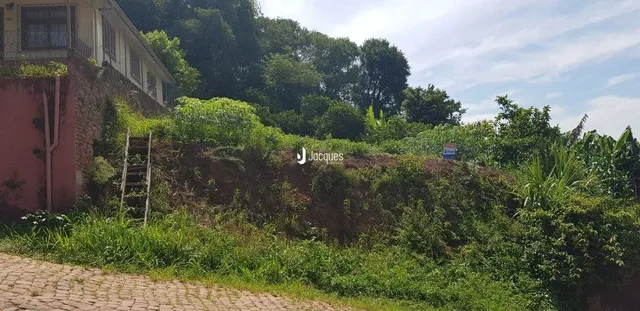 Vista externa com vegetação densa ao redor da propriedade em Lajeado.
