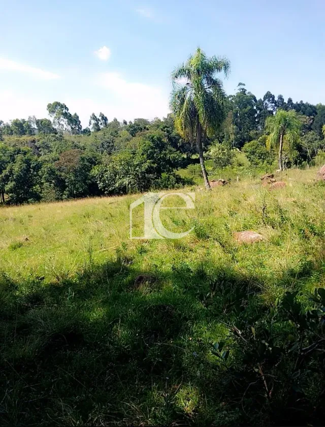 Área rural, foto 3